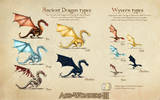 Presentation_dragons_sheet